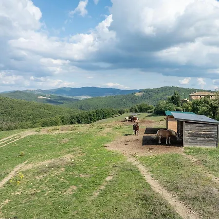 Airone Tegoni, Pool, Radicondoli